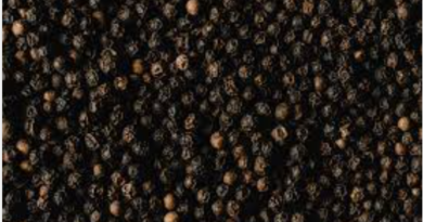 black pepper nutrition