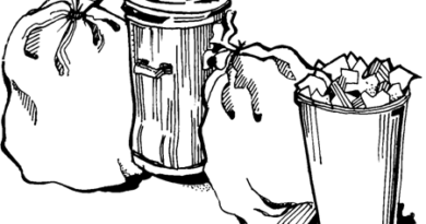 Trash Removal Service