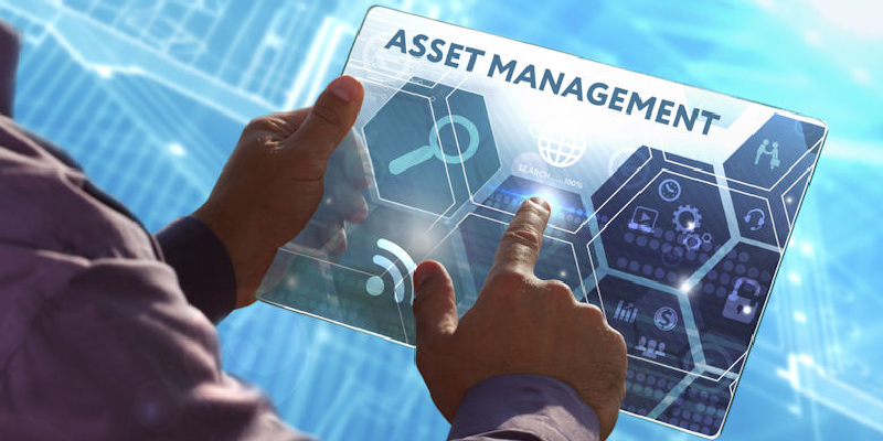 software development company