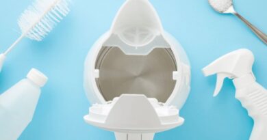 Duzzit kettle descaler