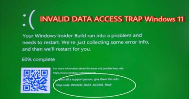 Windows 11 Data Monitoring Error