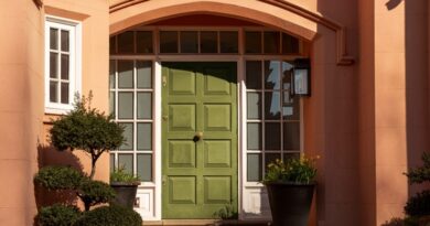 Wrought Iron Doors