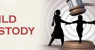 Child Custody Lawyer