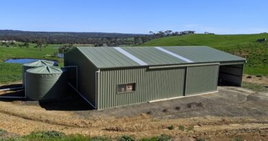 Role Of Fair Dinkum Builds