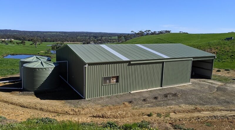 Role Of Fair Dinkum Builds