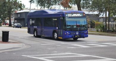 Orlando Transportation Options