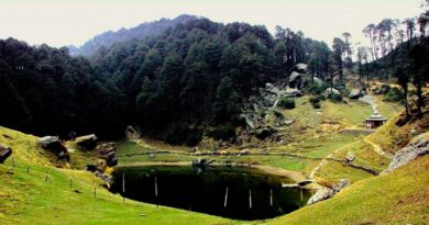 Beauty of Jibhi Tirthan Valley