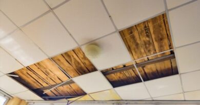 Acoustic Ceilings