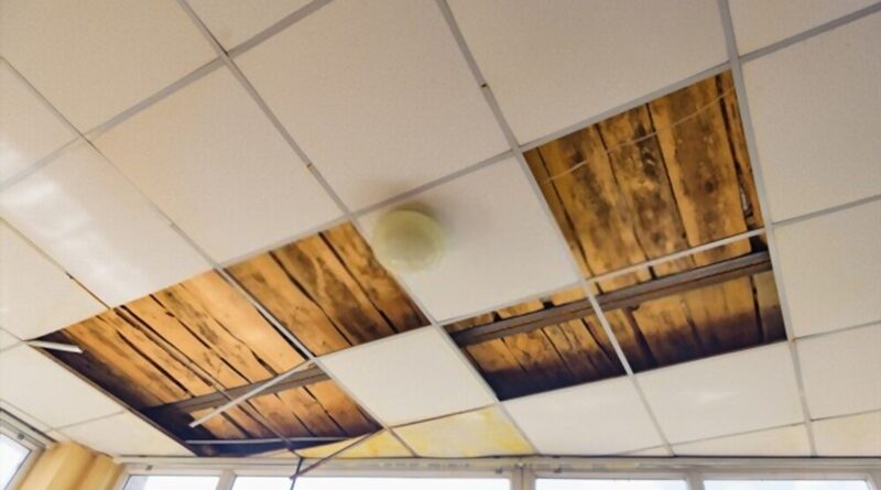 Acoustic Ceilings