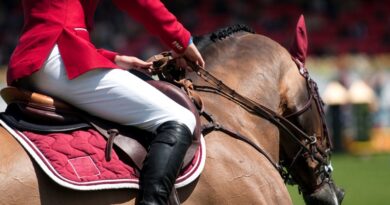 Horse Riding Accessories