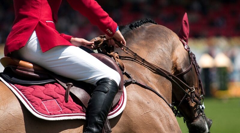 Horse Riding Accessories