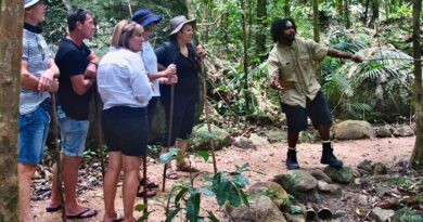 Benefits of Exploring New Zealand on a Small Group Tour