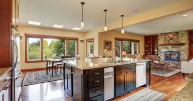 Art and Advantages of Designer Kitchens in Modern Homes