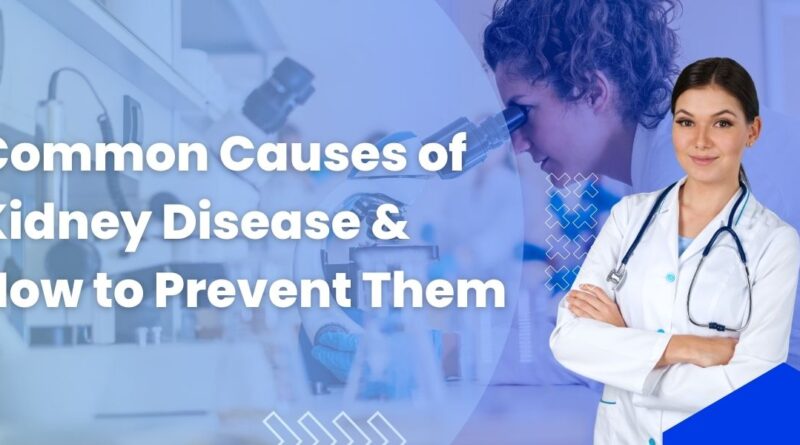 Common Causes of Kidney Disease & How to Prevent Them