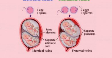 Identical vs. Fraternal Twins: Understanding the Key Differences