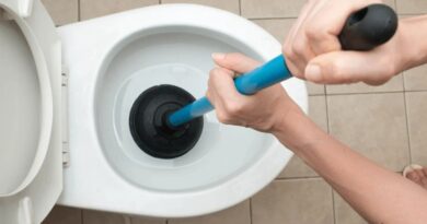 Understanding The Role Of A Blocked Toilet Cleaning Service Provider